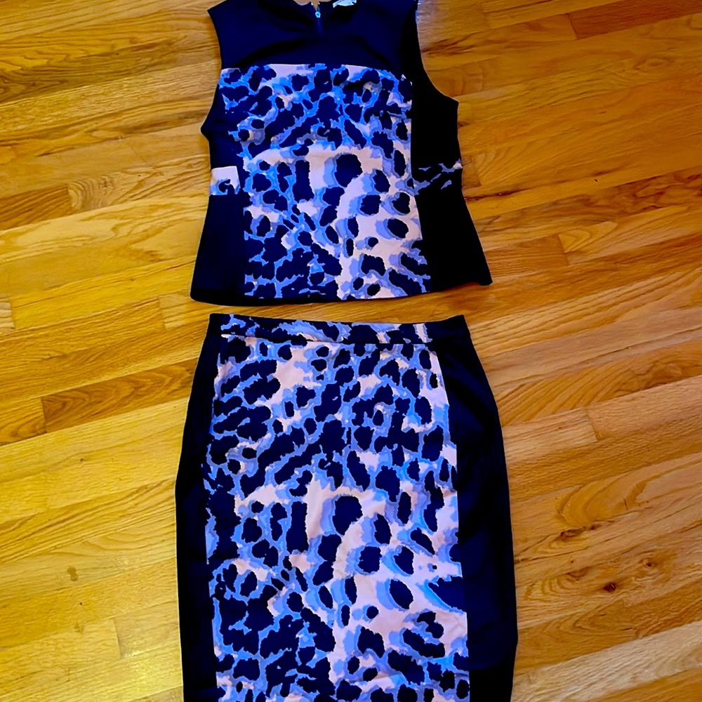 Club Monaco skirt and top set